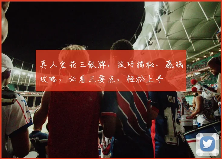 真人金花三张牌，技巧揭秘，赢钱攻略，必看三要点，轻松上手