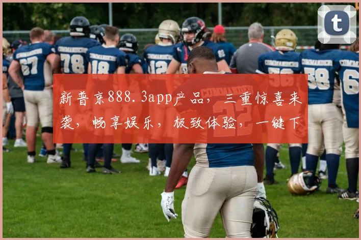 新普京888.3app产品，三重惊喜来袭，畅享娱乐，极致体验，一键下载，玩转生活逗逗乐