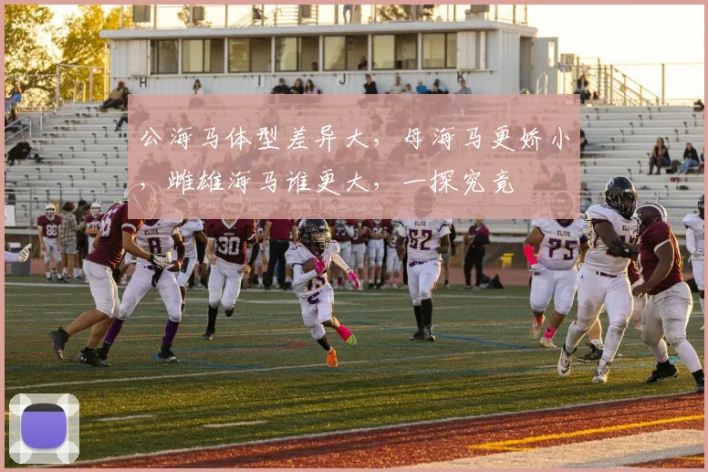公海马体型差异大，母海马更娇小，雌雄海马谁更大，一探究竟