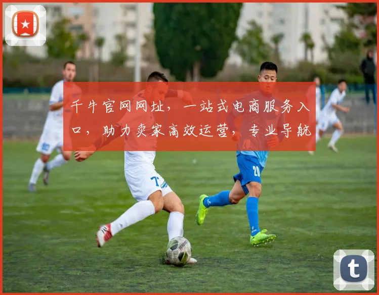 千牛官网网址，一站式电商服务入口，助力卖家高效运营，专业导航，必看